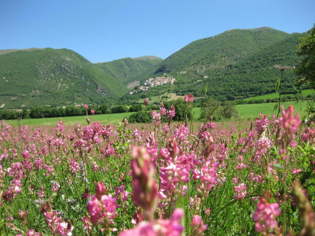 FonteAntica Agriturismo photo 1
