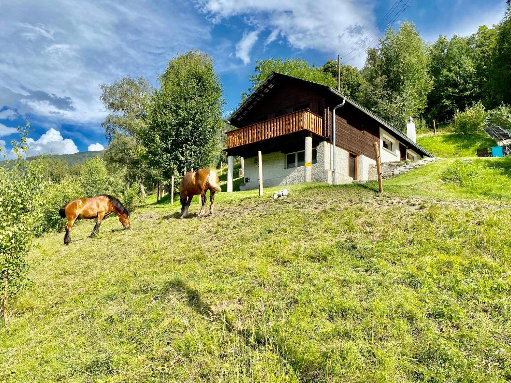 Eco Lodge with Jacuzzi and View in the Swiss Alps photo 1