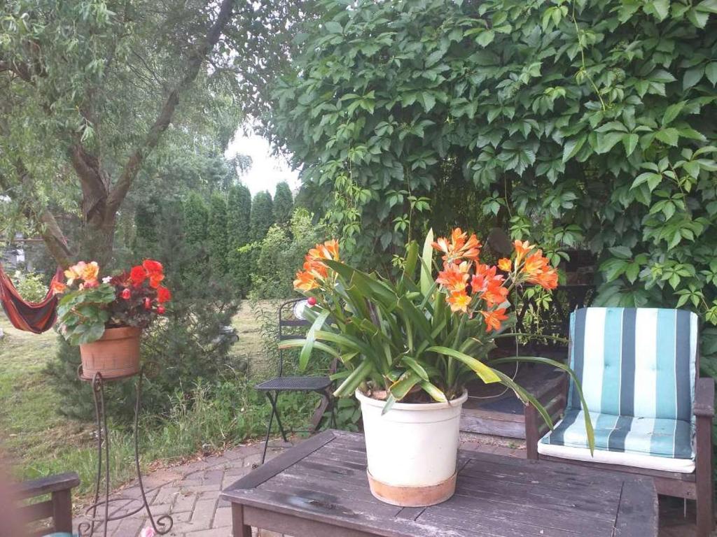 Guest House Pechersky & Sons photo 1