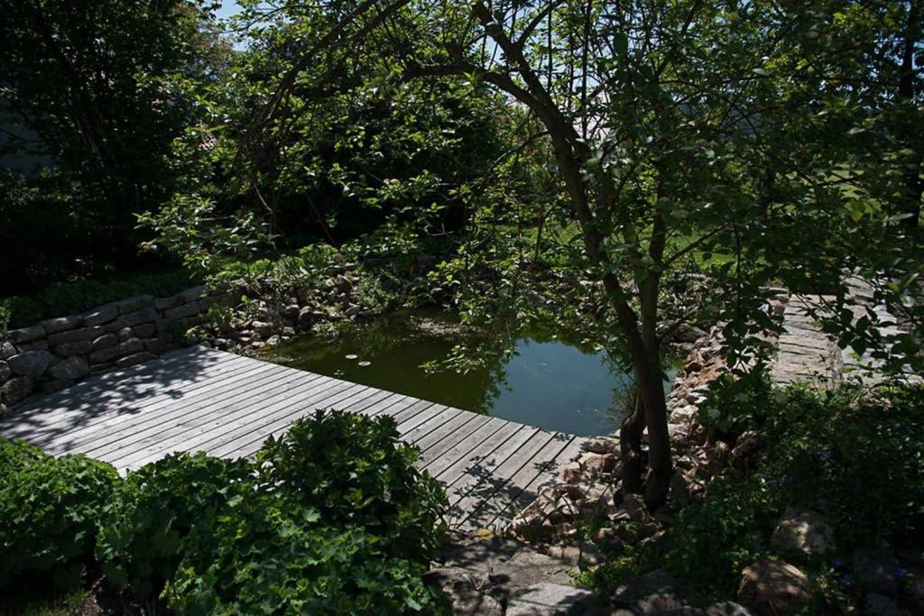 Gästehaus Kohlberg photo 1