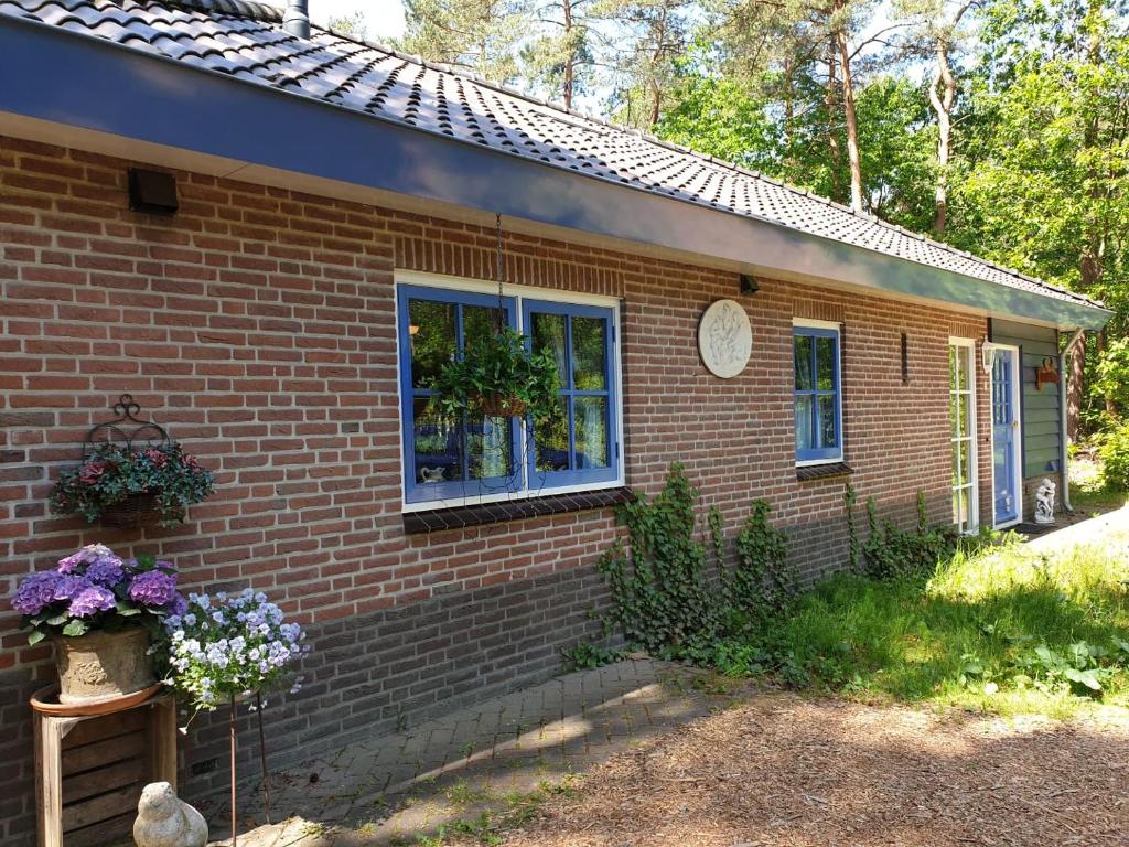 Holiday home bos en heide photo 3