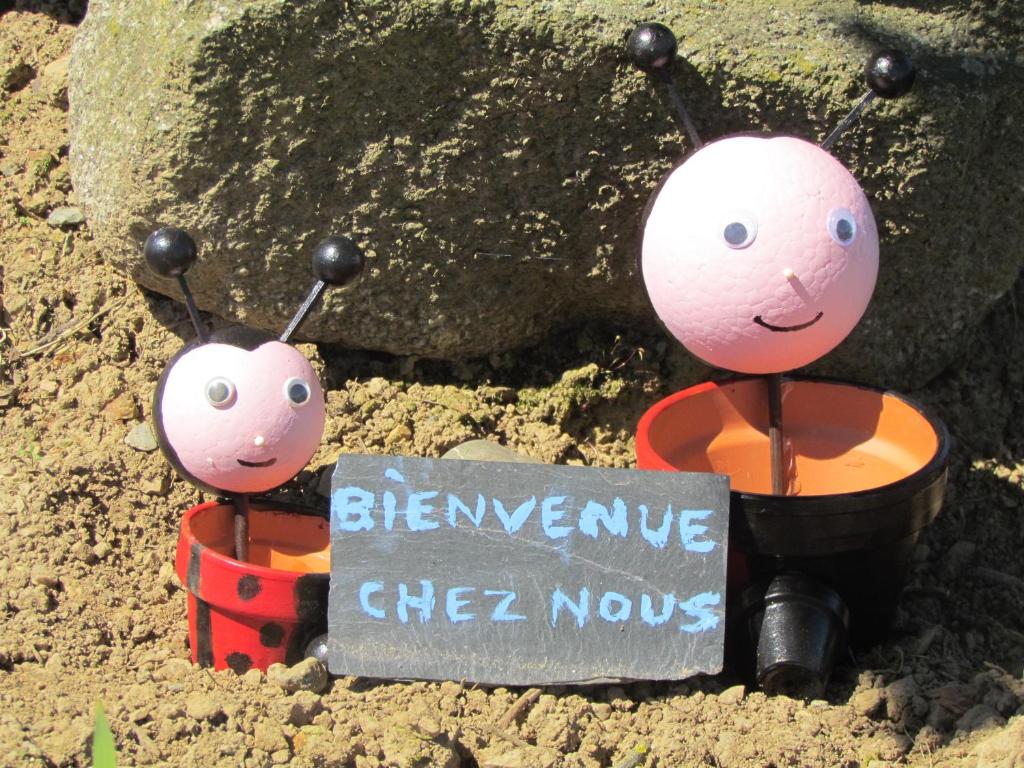 Gîte la petite maison photo 4