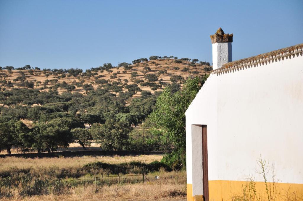 La Matilla photo 4