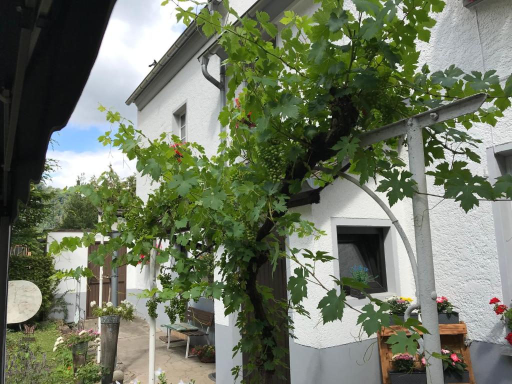 Ferienwohnung Lahnmündung photo 4