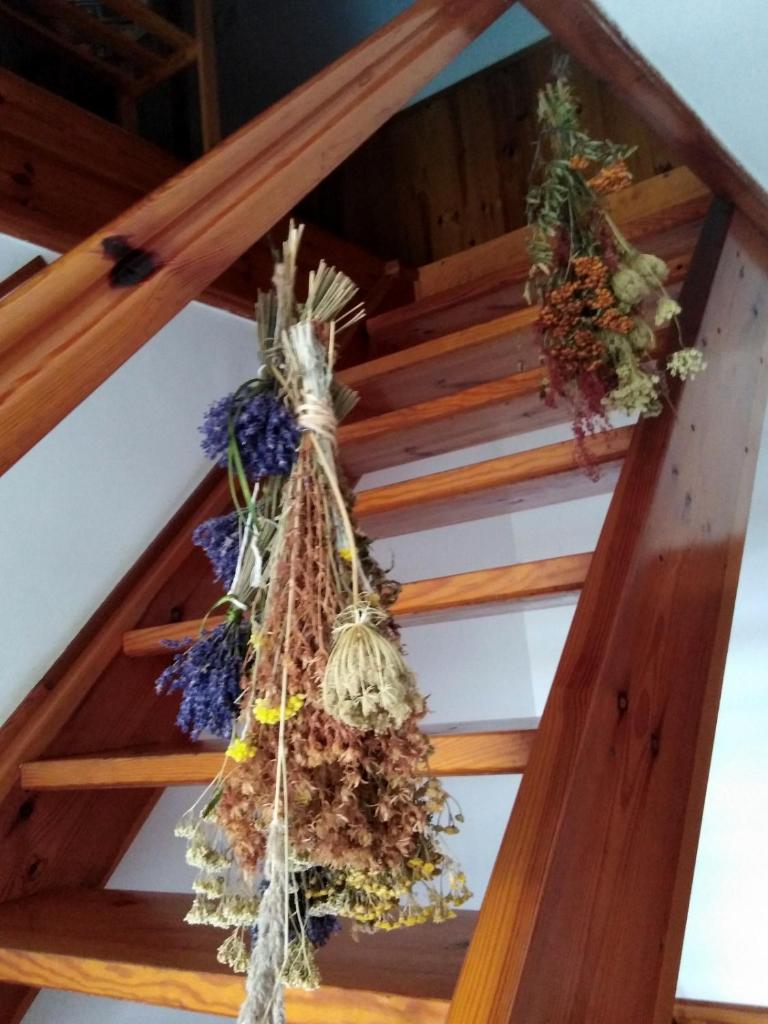 Agroturystyka U Iwonki photo 1