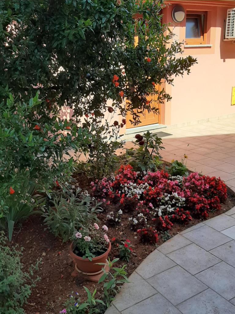 VILLA ANCORA MEDULIN photo 4