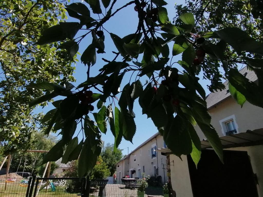 La Parisière photo 3