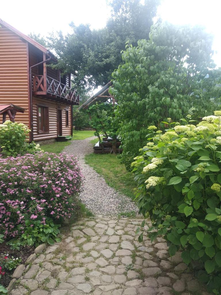 Mandrivnyk photo 2