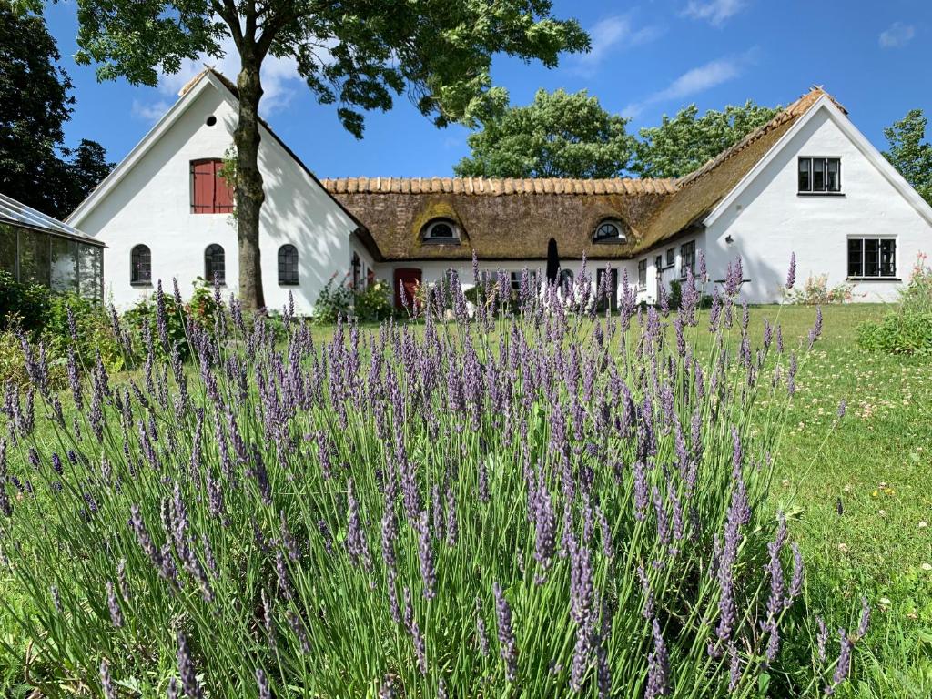 Mariegaardens Gæstehuse photo 1