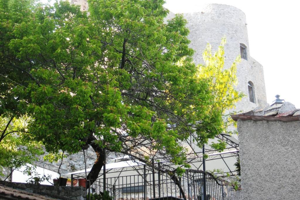 Il Nibbio - La Soffitta dei Ricordi photo 3