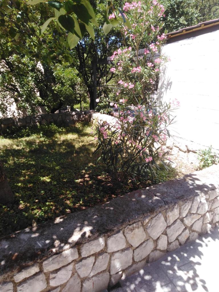 Apartman Mimi photo 1