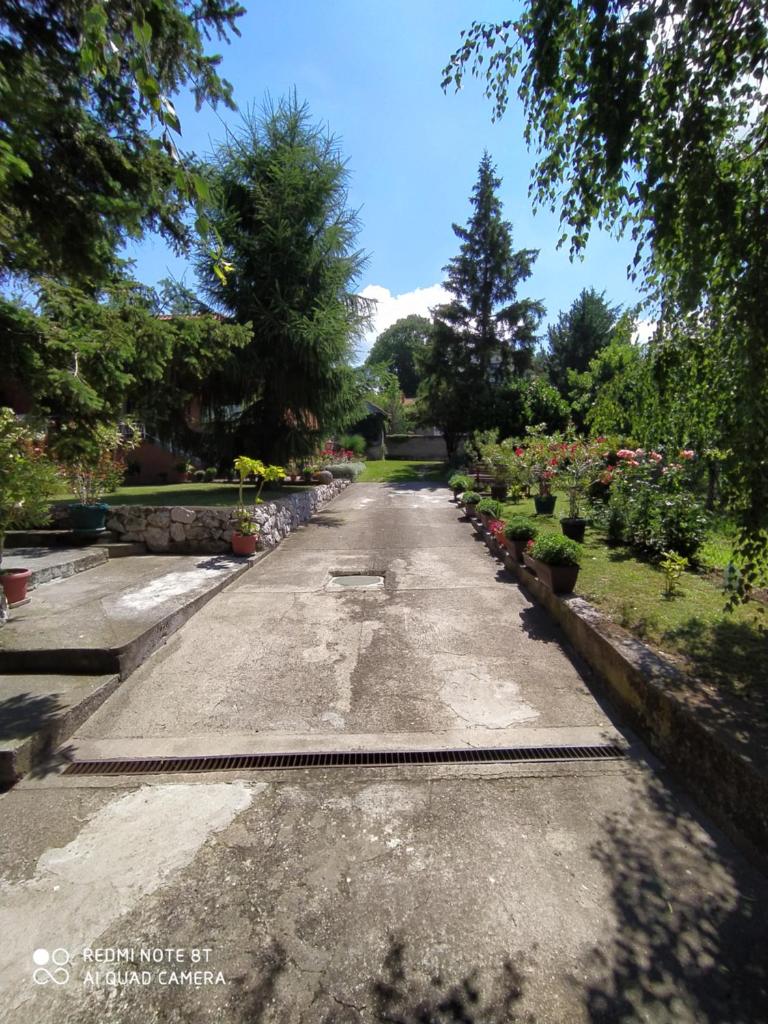 Prenoćište Aleksandar photo 1