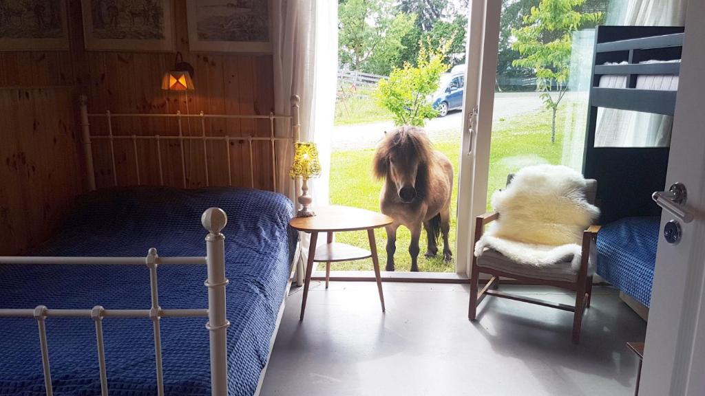 Drengestua på Flagstad Østre photo 1