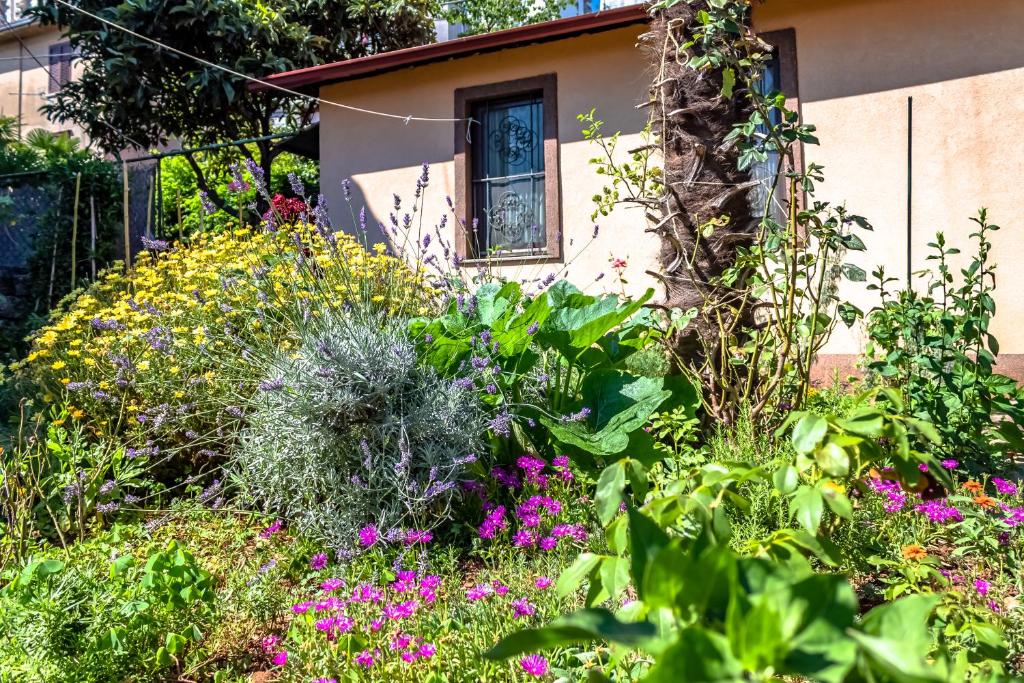 Little garden house photo 1
