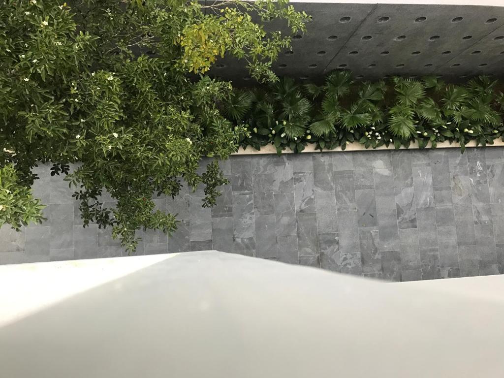 Двухместный (Двухместный номер Делюкс с 1 кроватью и балконом), MyFa House