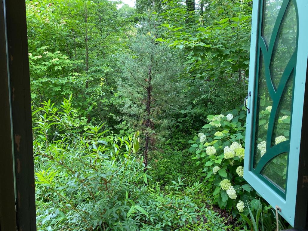 Garden Shed R photo 4