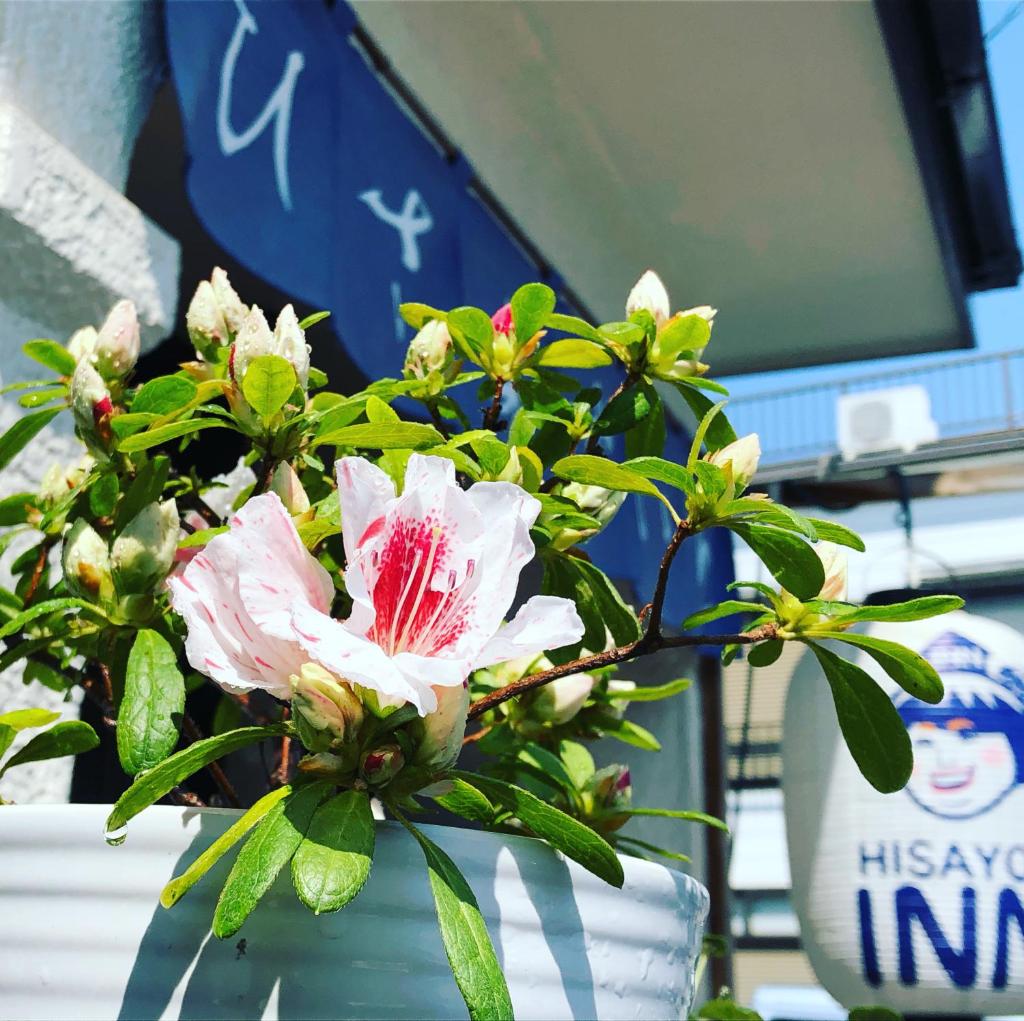 HISAYO'S INN photo 2