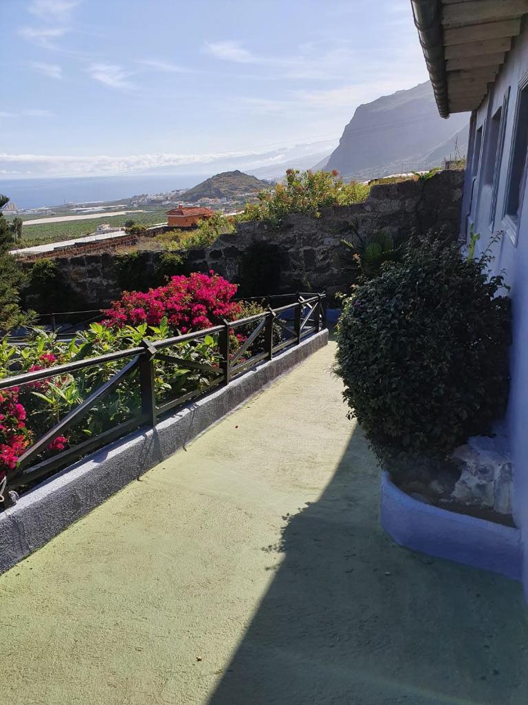 Finca las Mariposas photo 3