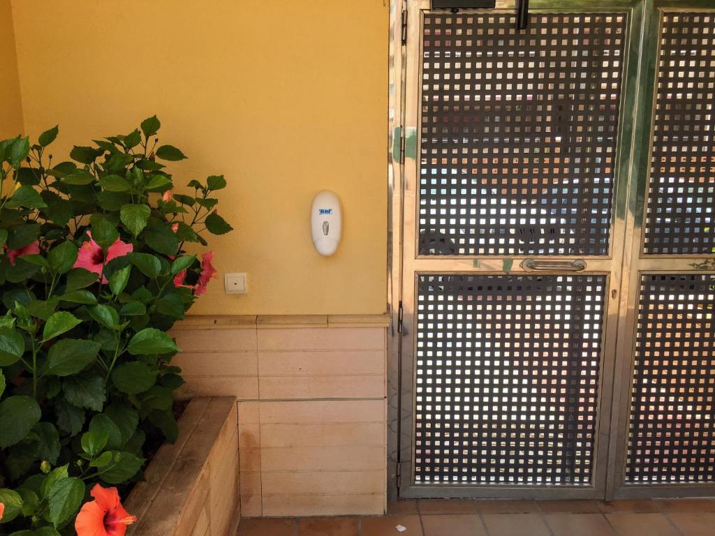 Apartment Brisa Marina photo 1