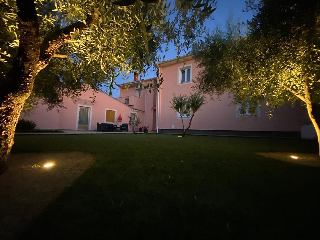 Apartments Prodan photo 4