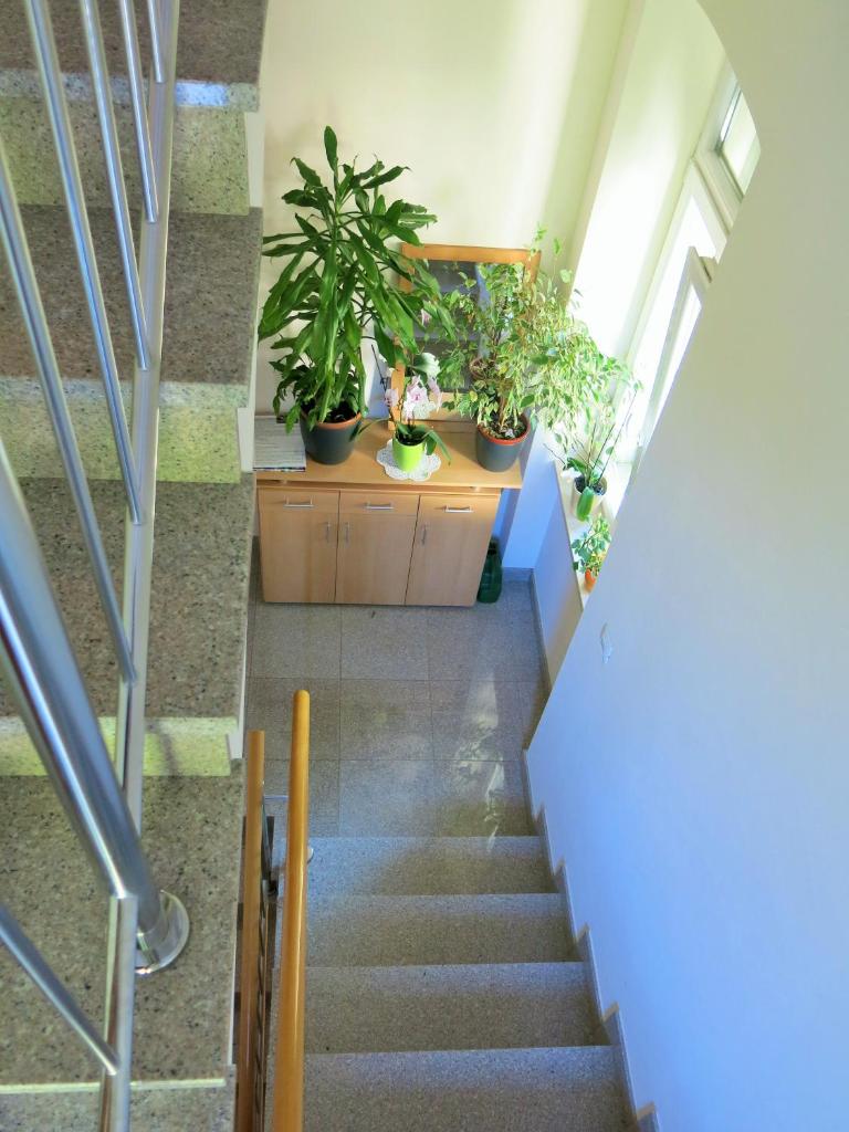Apartment Near the Sea photo 1