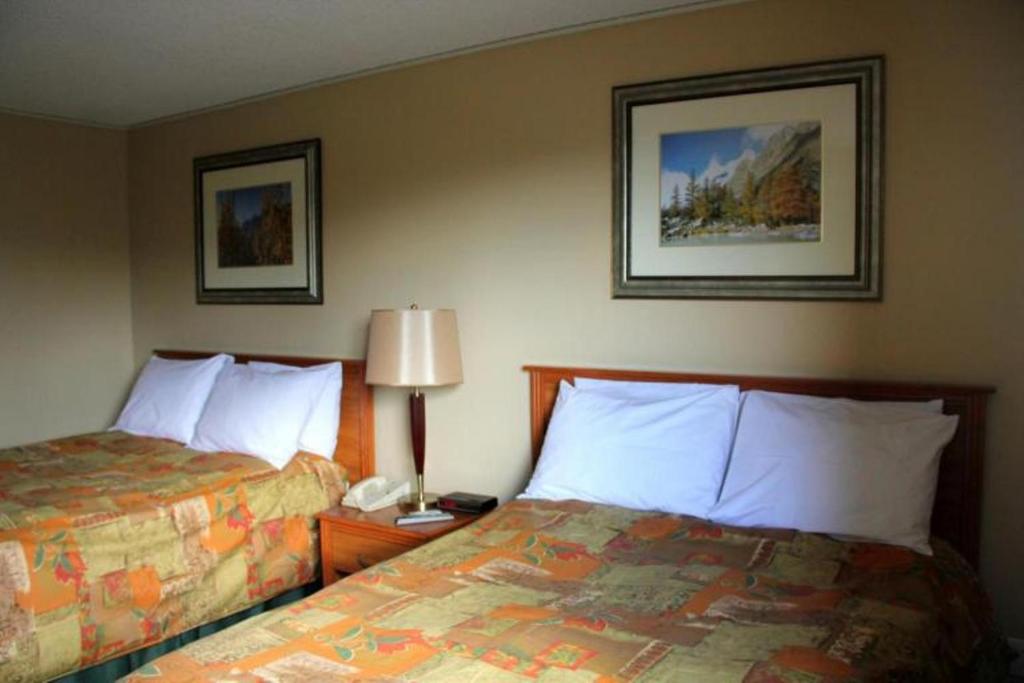 Acorn Motel photo 1
