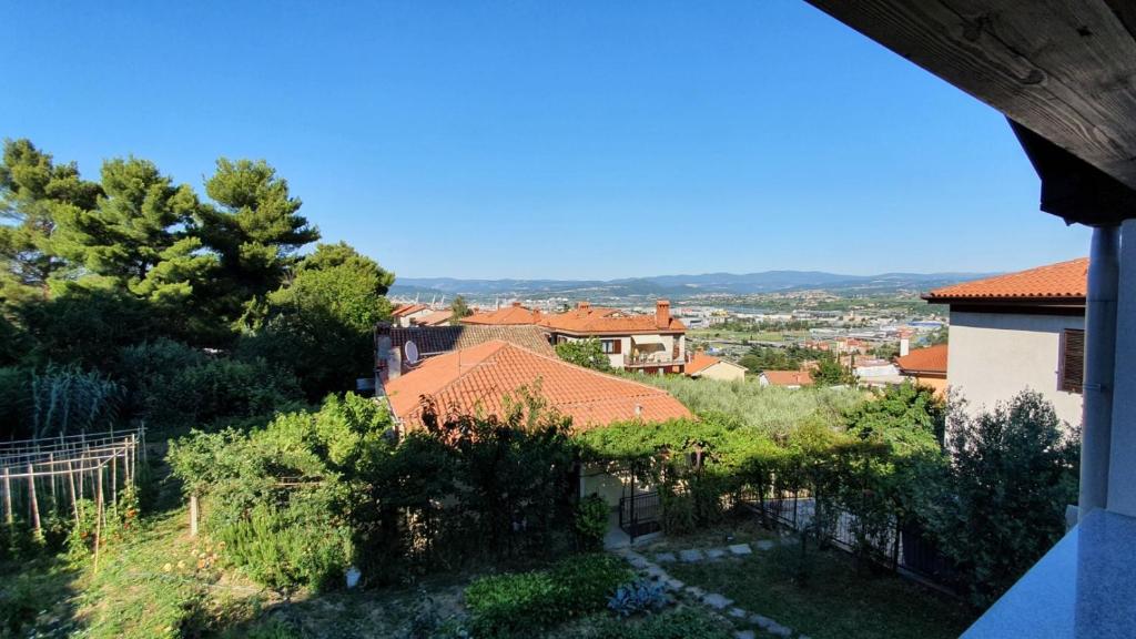 Palmarin photo 1