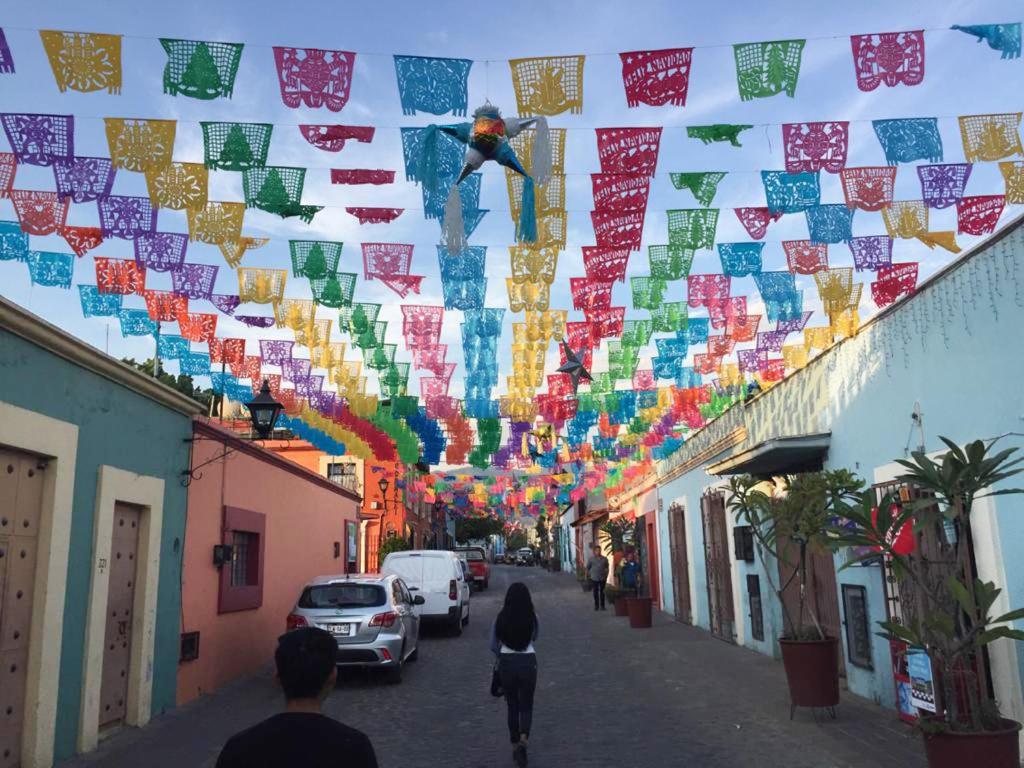 Los Nardos Hostel -pet friendly- photo 3