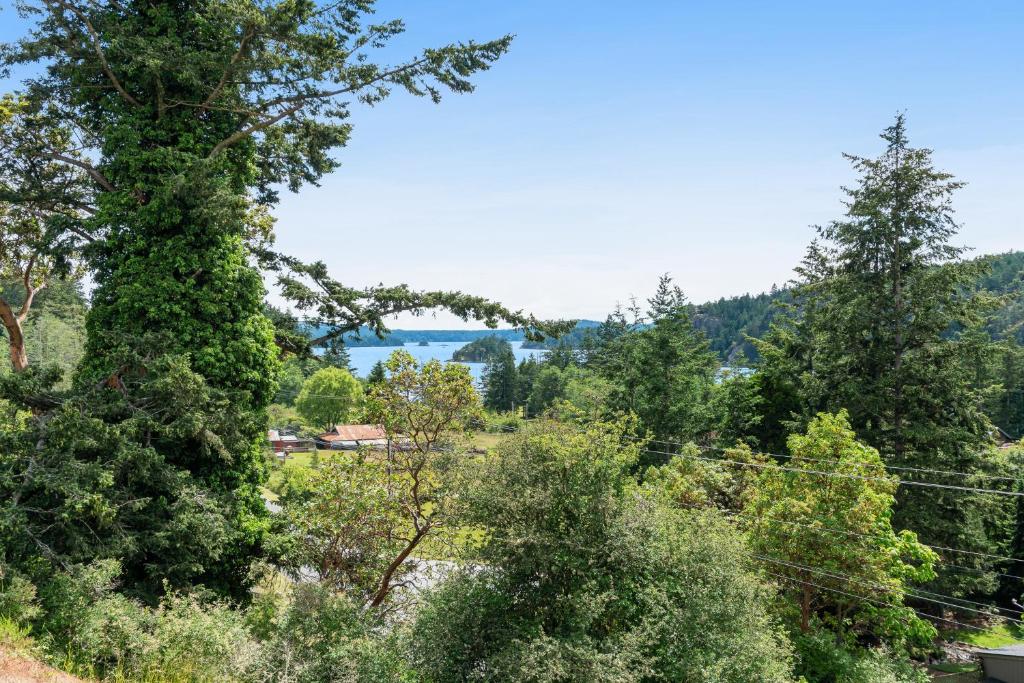 Deer Harbor Cottages photo 1