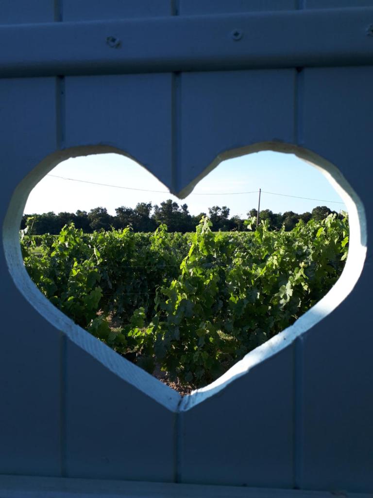 La roulotte de Glorit photo 1