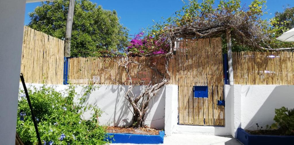 Casa Azul