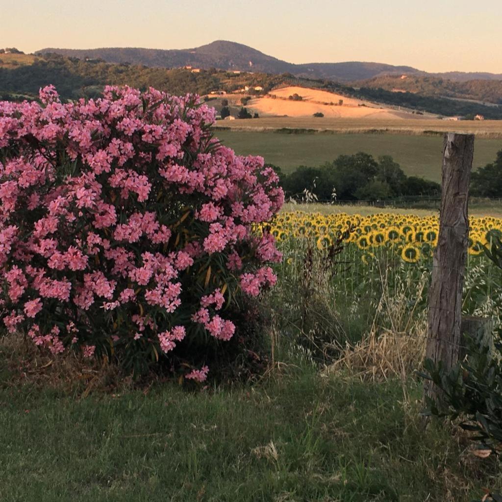 Agriturismo Barbicate photo 3