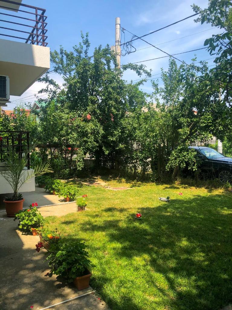 Villa Anastasia photo 3