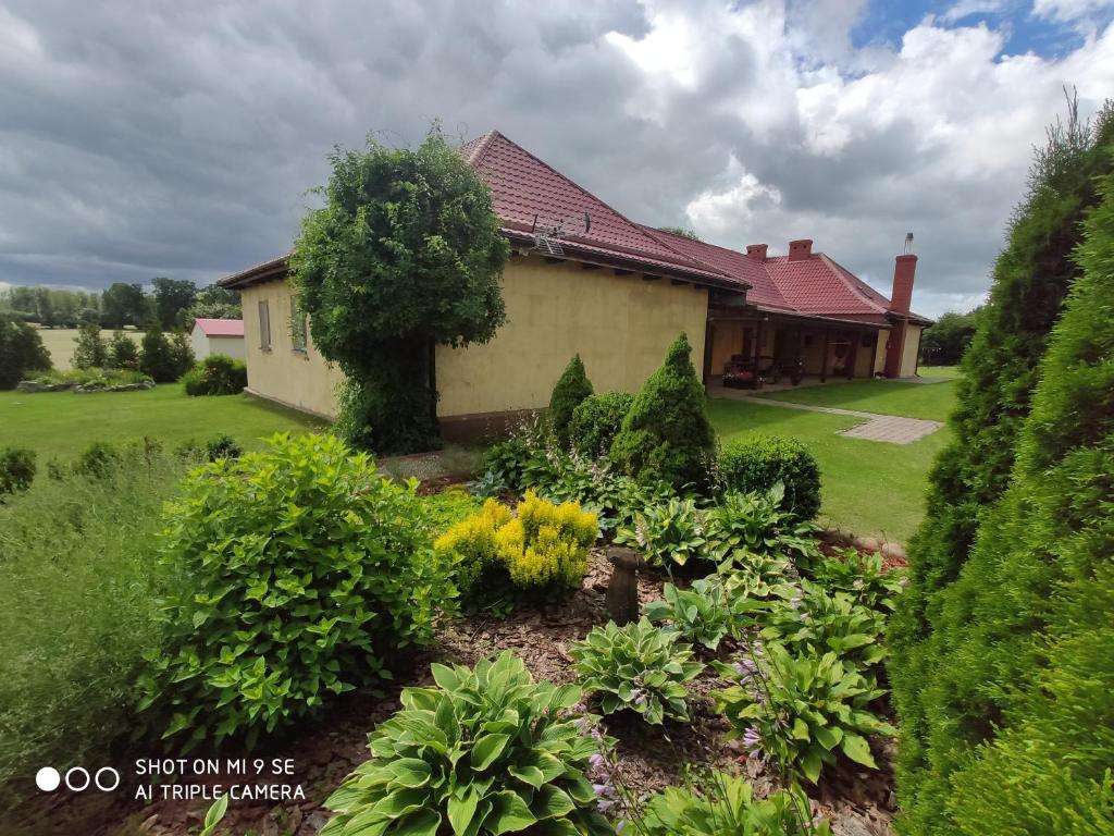 Agroturystyka Leśny Dworek