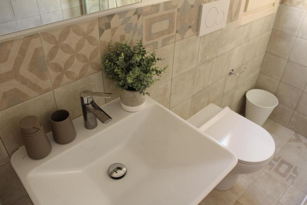 B&B Le Terrazze photo 1