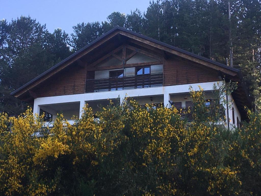 Tra il bosco e il lago photo 3
