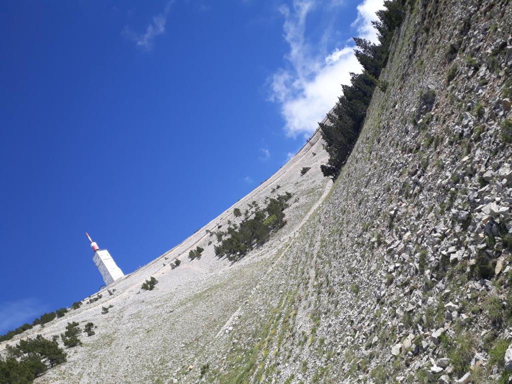 Hôtel & SPA Ventoux Provence "Domaine des Tilleuls" photo 4