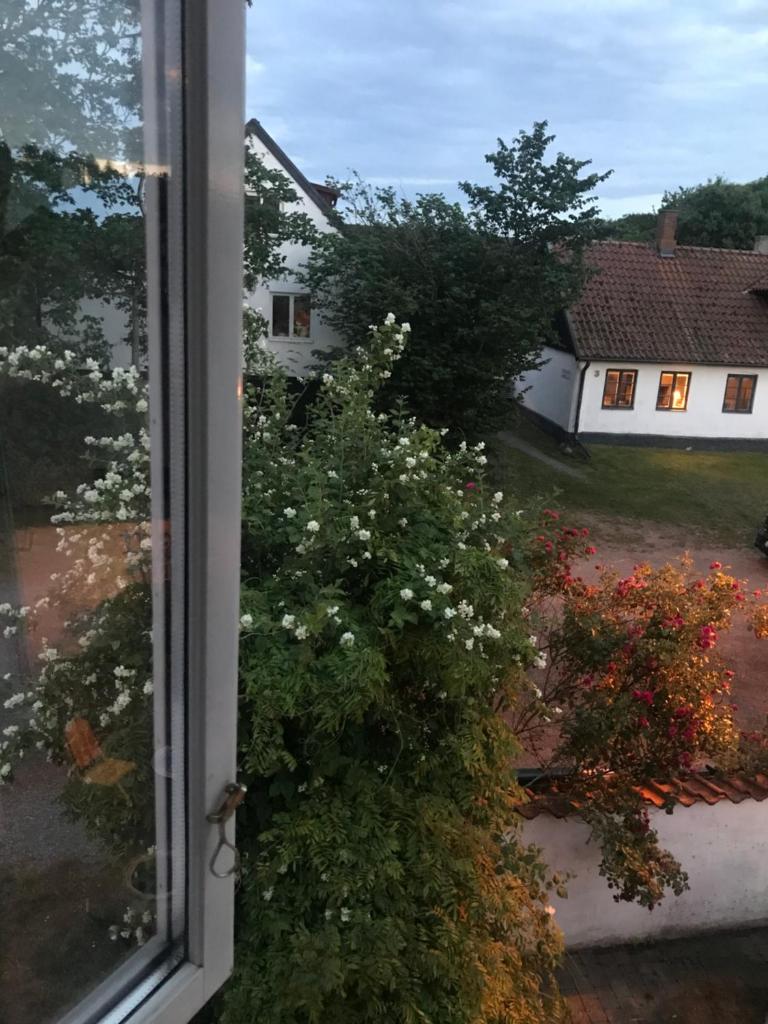 Botanikerns hus photo 4