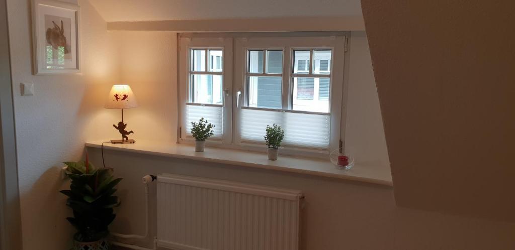Kampen Bergente photo 1