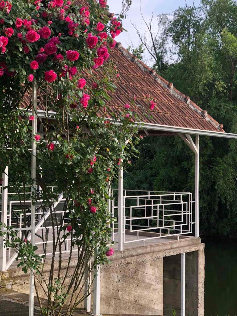 Villa Elita - Bela Crkva
