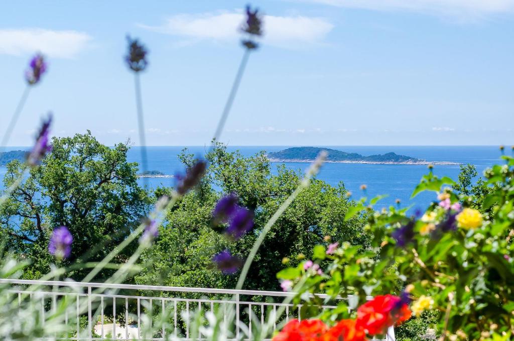 Adriatic Sunny Apartments photo 3
