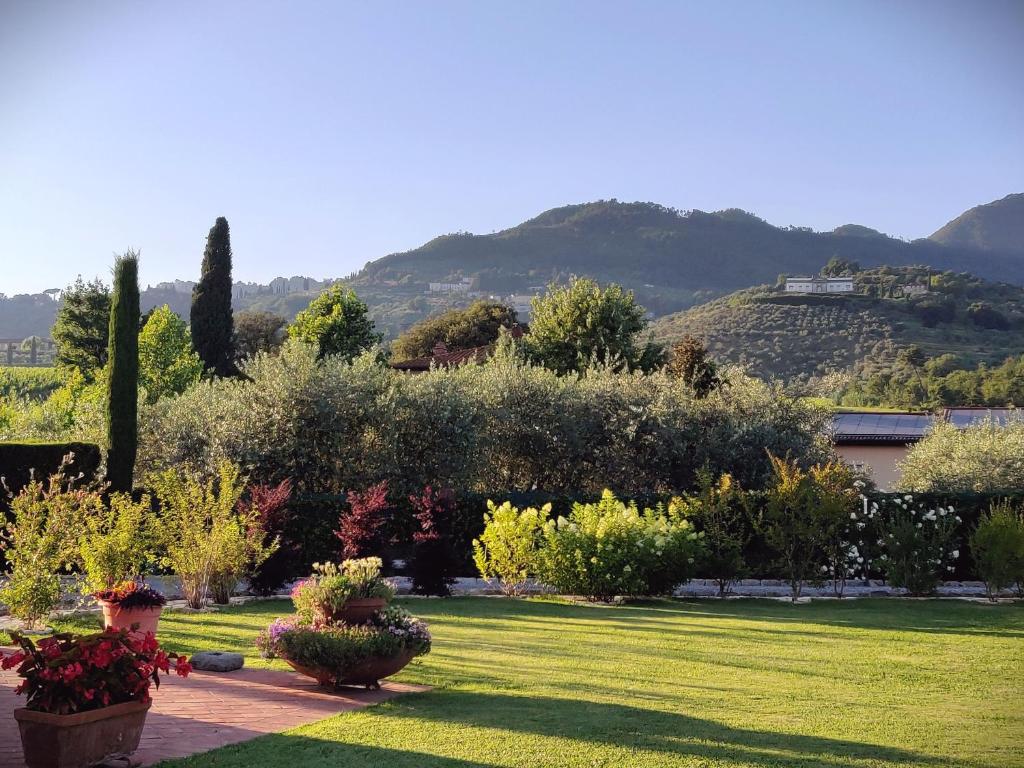 Tuscan Villa exclusive use of private pool A/C Wifi Villa Briciola photo 2