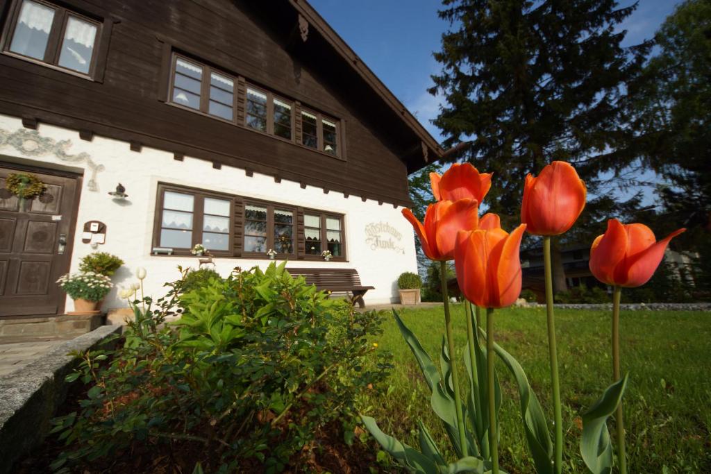 Gästehaus Funk photo 4