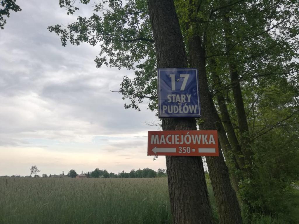 Maciejówka Gospodarstwo Agroturystyczne photo 1