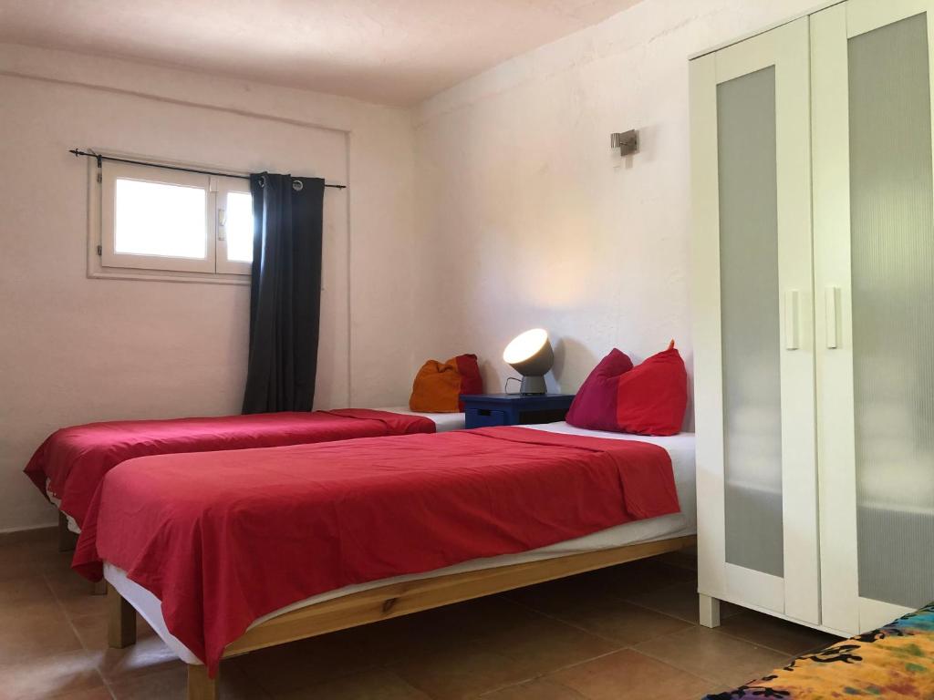 Micasa Ibiza photo 4