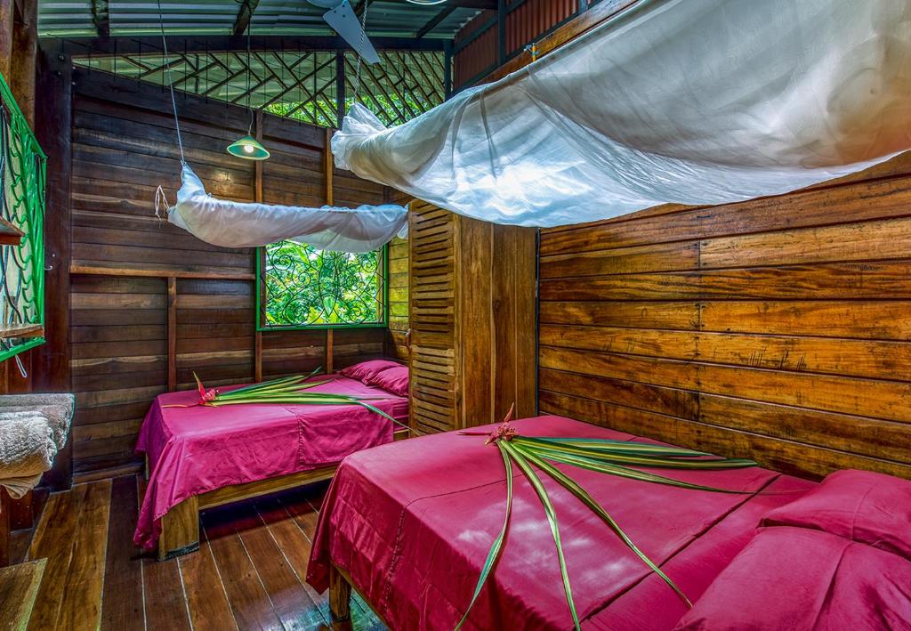 Congo Bongo EcoVillage Costa Rica photo 2