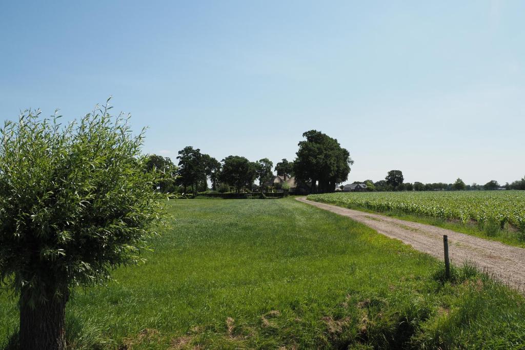 Bed & Breakfast De Oude Heerd photo 4