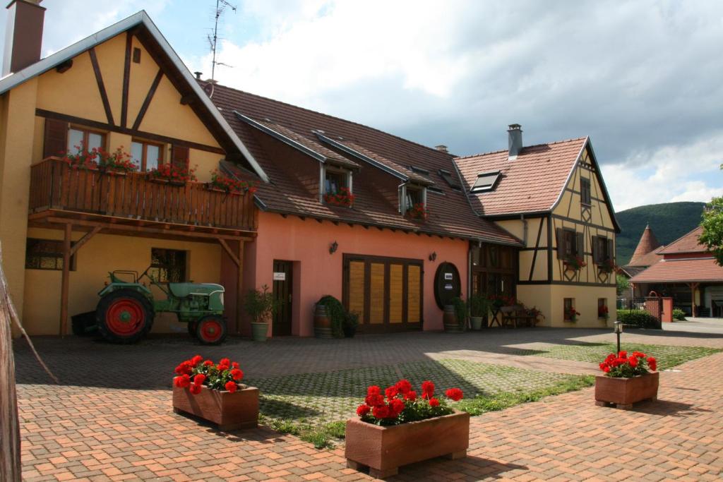 Gites Les Cépages photo 2