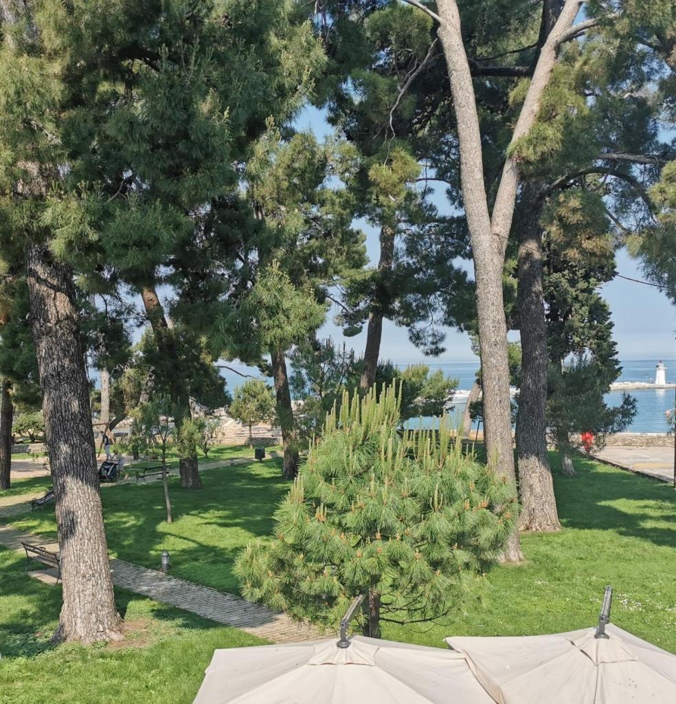 NINA deluxe SUPERIOR 5 star apartment, your piece of heaven by the sea & park photo 3