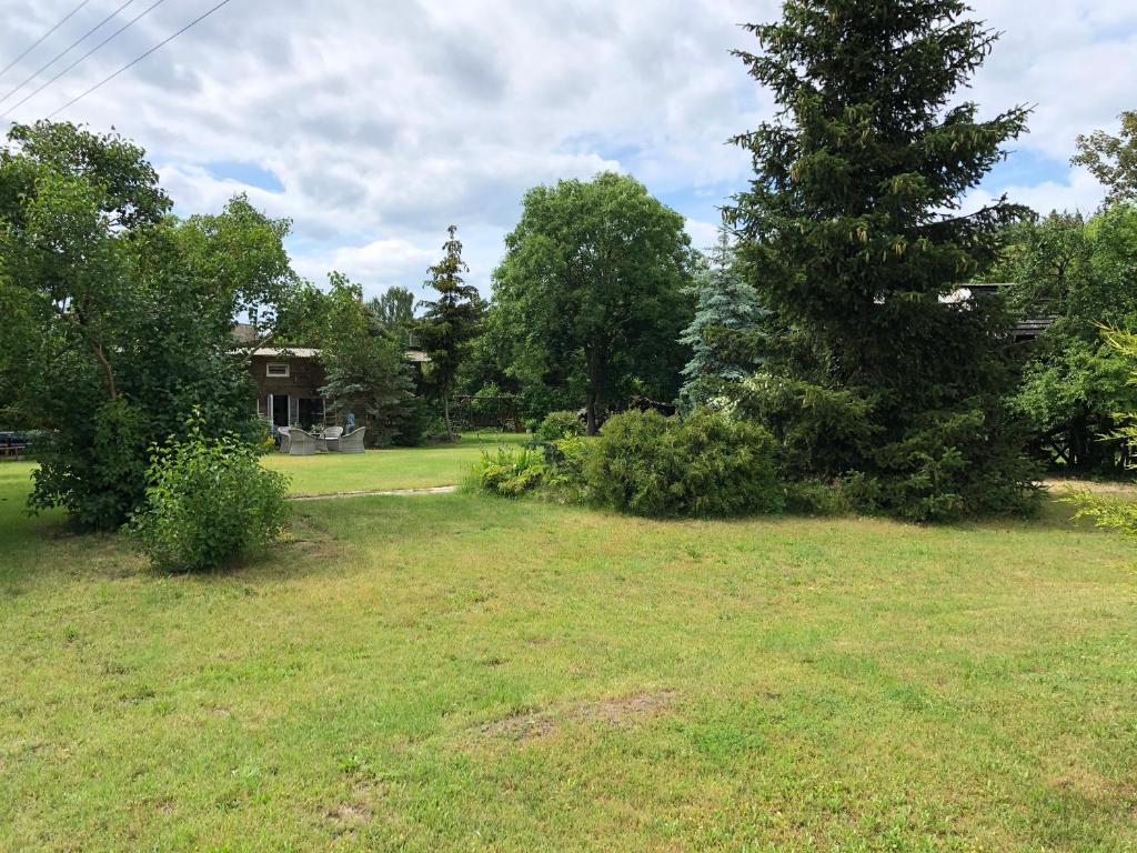 Domek całoroczny blisko lasu i morza na urokliwej działce 4300 m2 photo 3